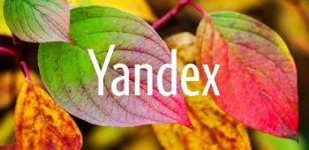 graphic for Yandex 22.70