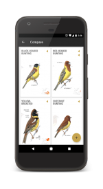 screenshoot for Collins Bird Guide