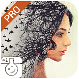 poster for Photo Lab PRO Picture Editor: effects, blur & art