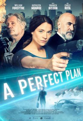 image for  A Perfect Plan movie