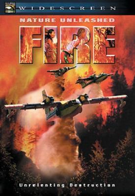 poster for Fire 2004