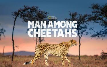 screenshoot for Man Among Cheetahs