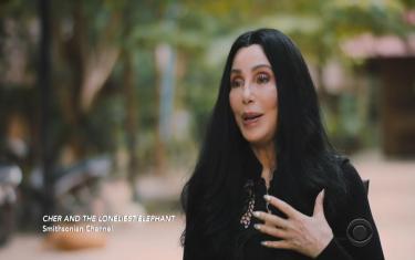 screenshoot for Cher and the Loneliest Elephant