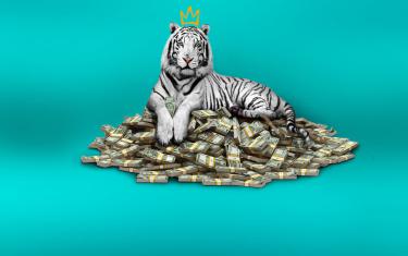 screenshoot for The White Tiger