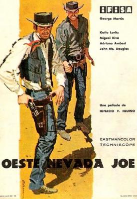 poster for Guns of Nevada 1965