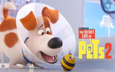 The Secret Life of Pets instal the new for windows