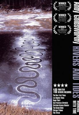 image for  Rivers and Tides: Andy Goldsworthy Working with Time movie