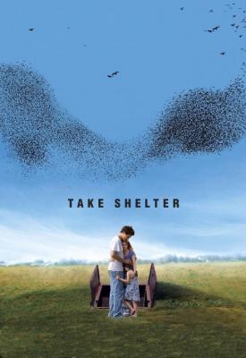 image for  Take Shelter movie