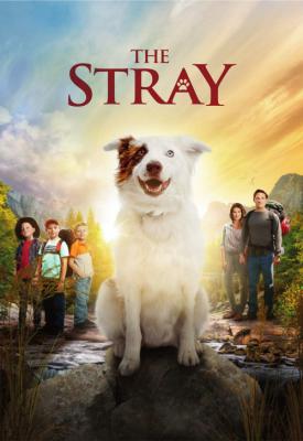 image for  The Stray movie