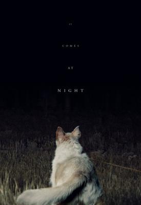 poster for It Comes at Night 2017