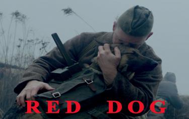 screenshoot for Red Dog