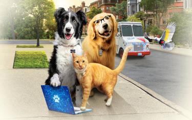 screenshoot for Cats & Dogs 3: Paws Unite