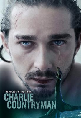 poster for Charlie Countryman 2013