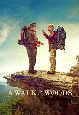 image for  A Walk in the Woods movie