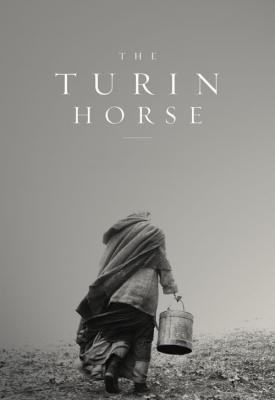image for  The Turin Horse movie