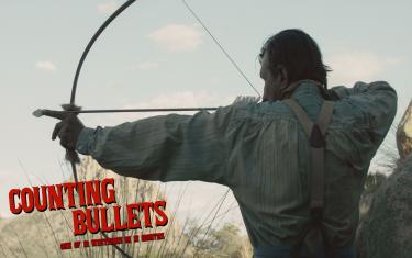 screenshoot for Counting Bullets