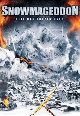 poster for Snowmageddon 2011