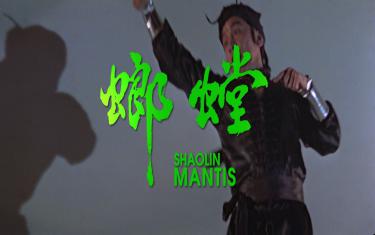 screenshoot for Shaolin Mantis