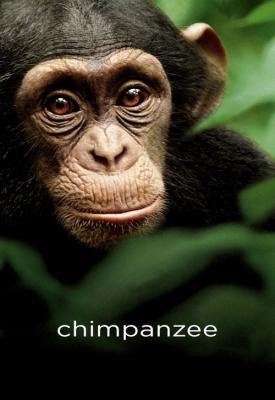 image for  Chimpanzee movie