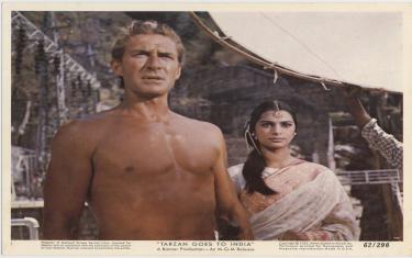 screenshoot for Tarzan Goes to India