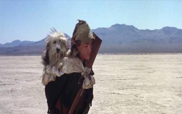 screenshoot for A Boy and His Dog