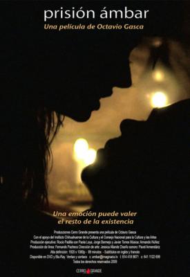 poster for Prisión Ambar 2009