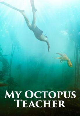 poster for My Octopus Teacher 2020