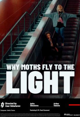 poster for Why Moths Fly to the Light? 2020