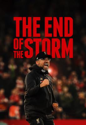 poster for The End of the Storm 2020