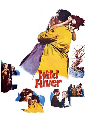 poster for Wild River 1960