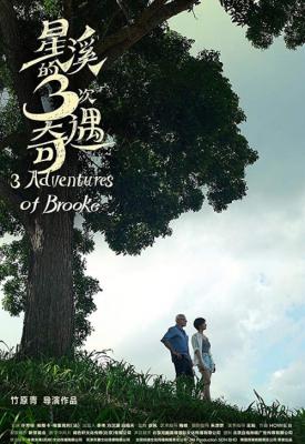 poster for Three Adventures of Brooke 2018