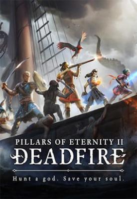 poster for Pillars of Eternity II: Deadfire + 3 DLCs