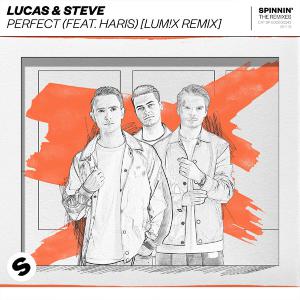 poster for Perfect (feat. Haris) [LUM!X Remix] - Lucas & Steve