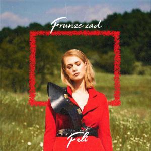 poster for Frunze Cad - Feli
