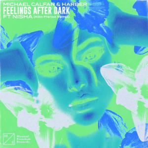 poster for Feelings After Dark (feat. NISHA) (Kiko Franco Remix) - Michael Calfan, Harber