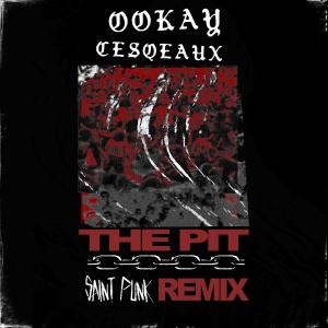 poster for The Pit (Saint Punk Remix)  - Ookay & Cesqeaux
