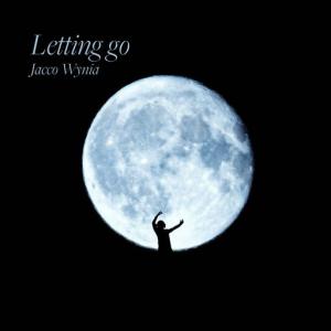 poster for Letting go - Jacco Wynia