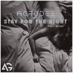 poster for Stay For the Night (feat. Dora) - AgroDee
