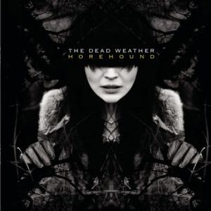 poster for Will There Be Enough Water? - The Dead Weather