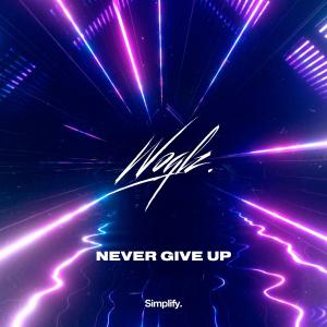 poster for Never Give Up - Woqlz