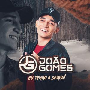 poster for É Amor - Joao Gomes