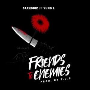 poster for Friends To Enemies - Sarkodie Ft. Yung L