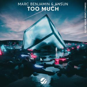poster for Too Much - Marc Benjamin & Ansun